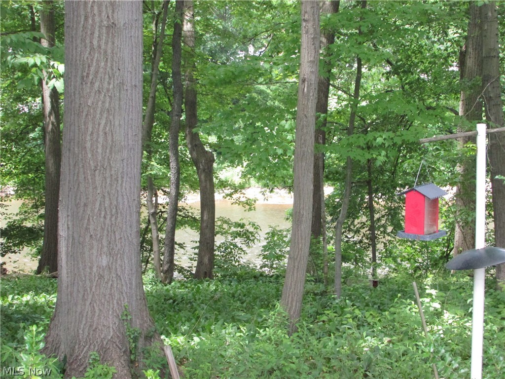 Cuyahoga River Estate - Residential