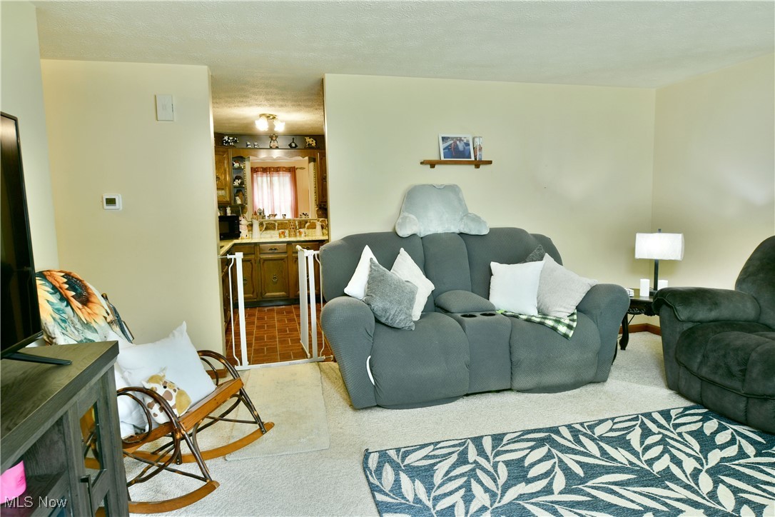 172 Camrose Drive, Niles, Ohio image 8