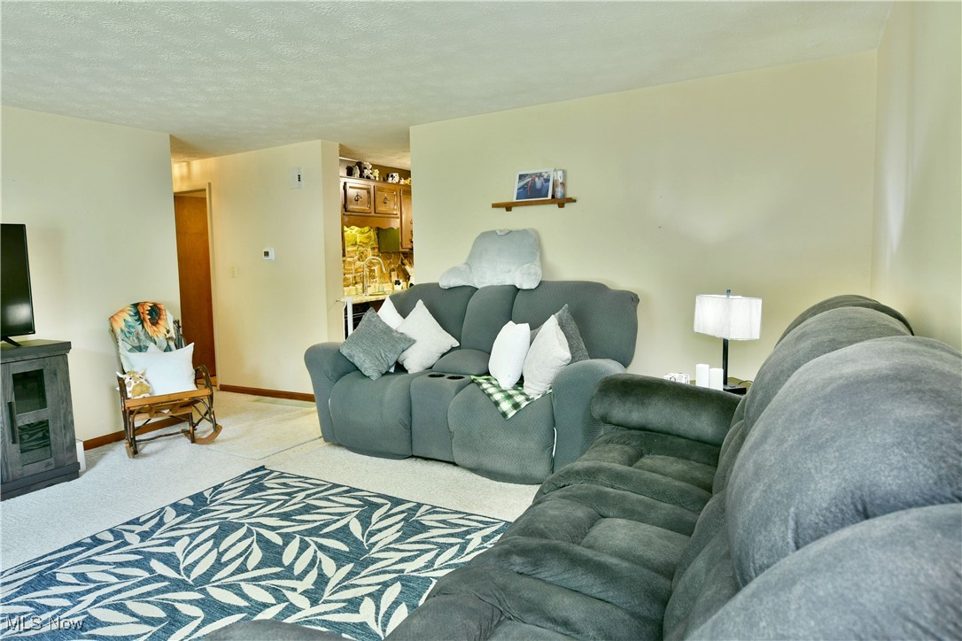 172 Camrose Drive, Niles, Ohio image 4