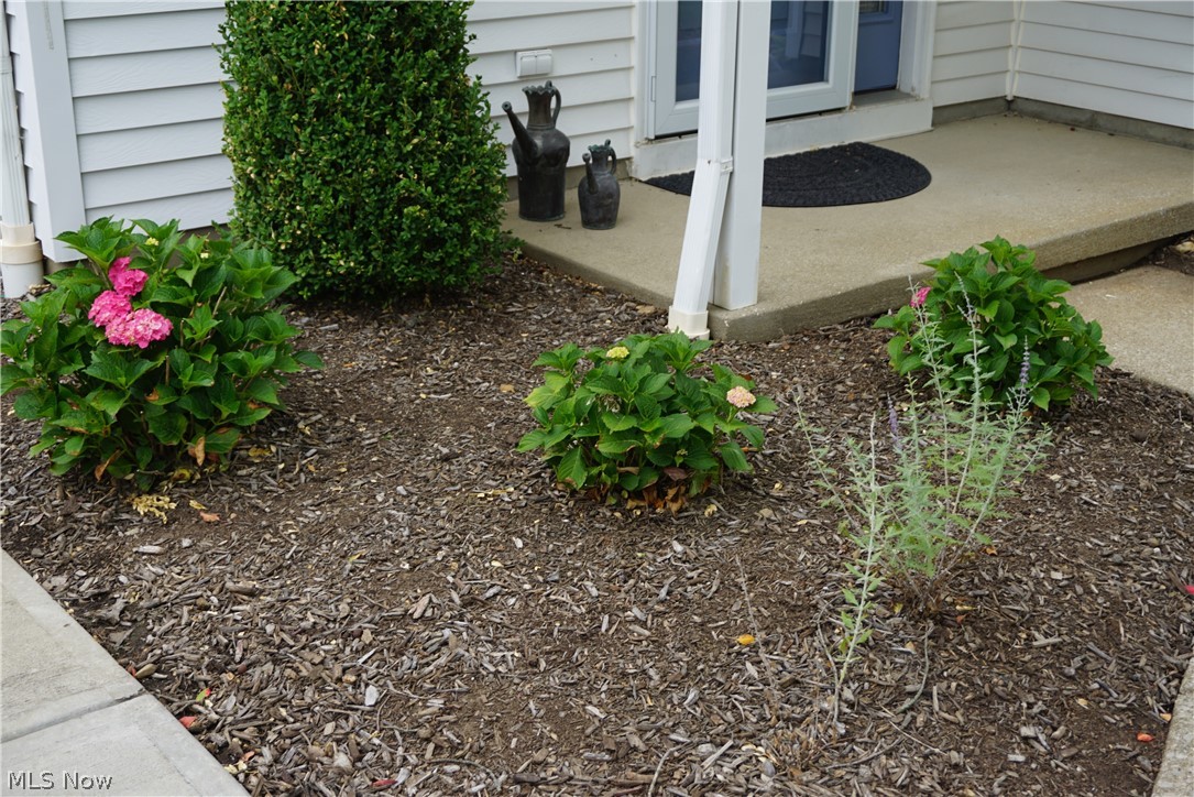 Orchard Hill Condo - Residential