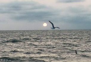 Beachwood Villas Condo - Residential