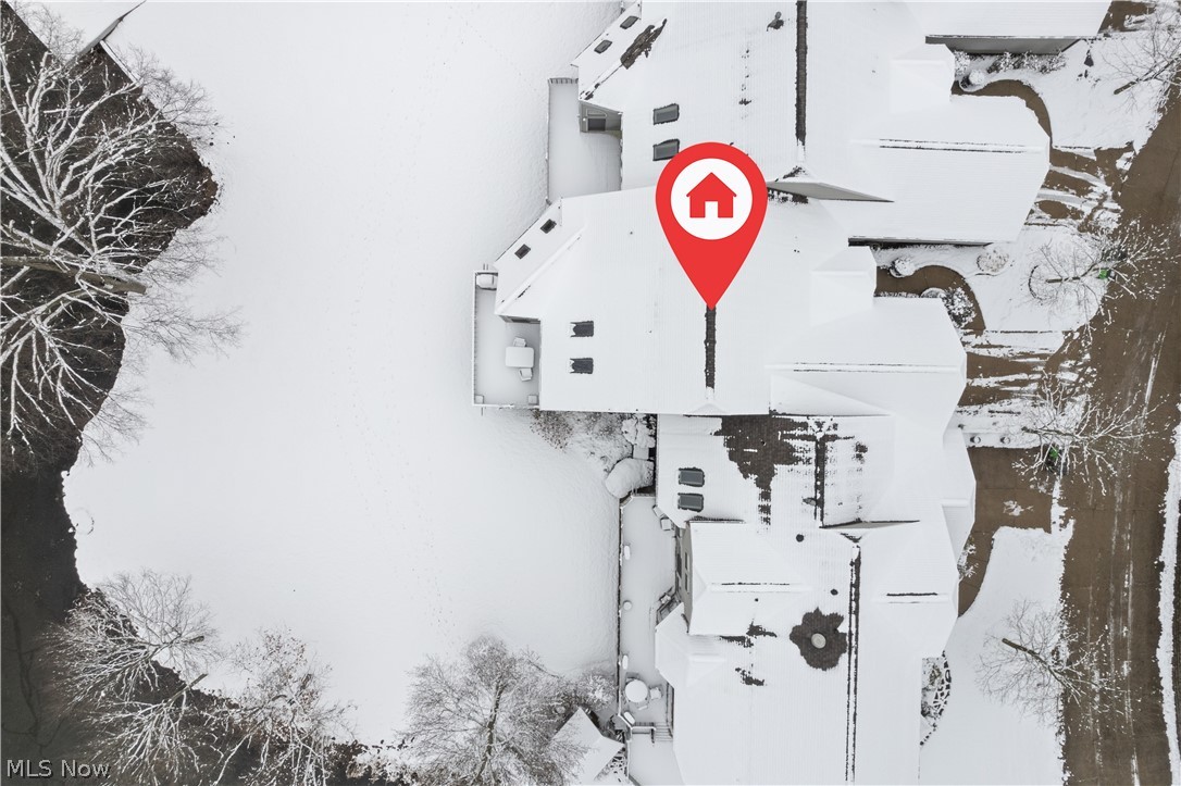 Forest Cove East Condo - Residential