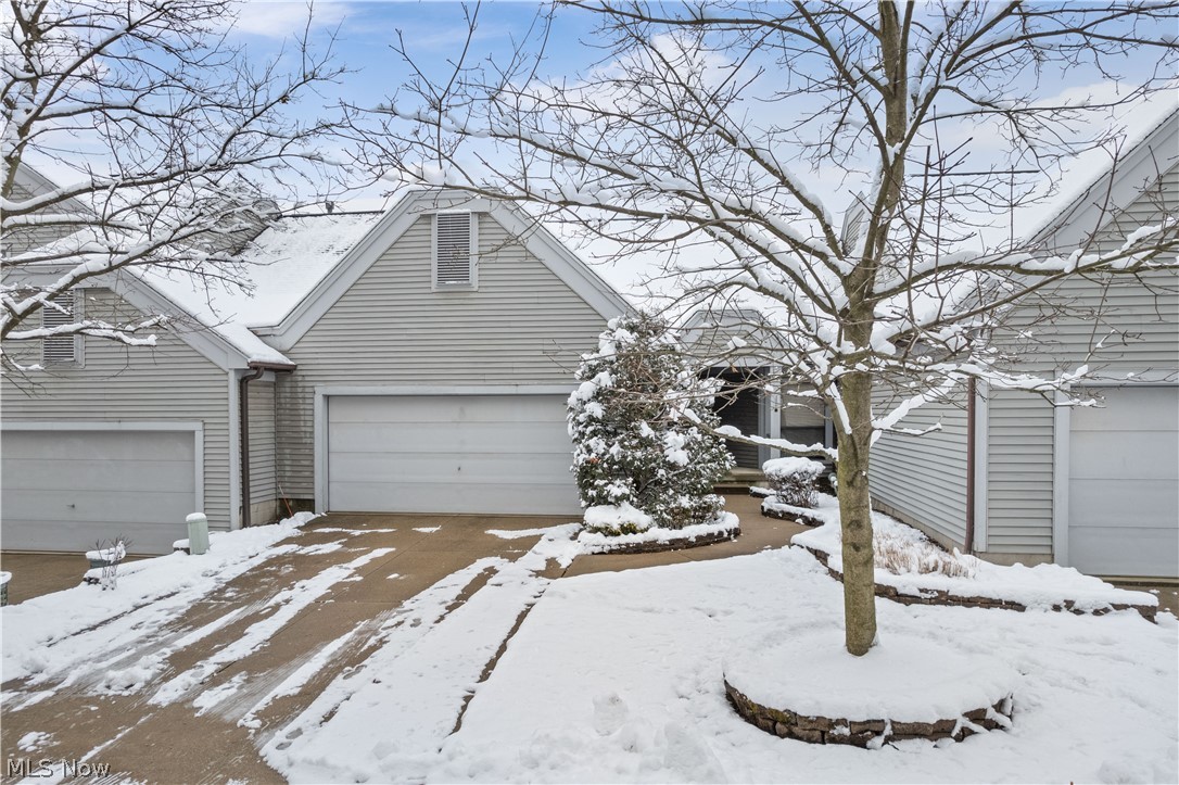 Forest Cove East Condo - Residential