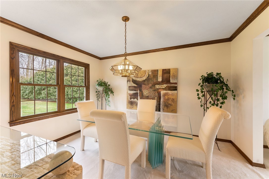 Oakview Heights - Residential