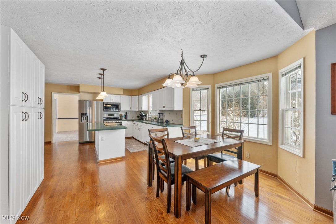 10343 Luman Lane, Twinsburg, Ohio image 11