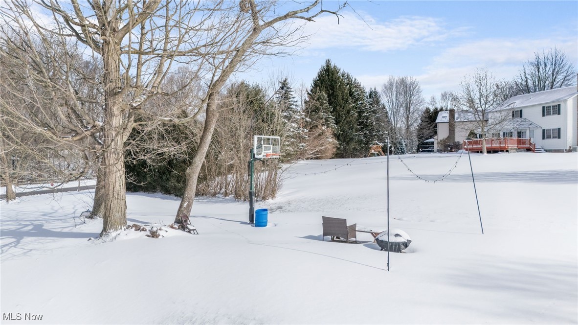 10343 Luman Lane, Twinsburg, Ohio image 46