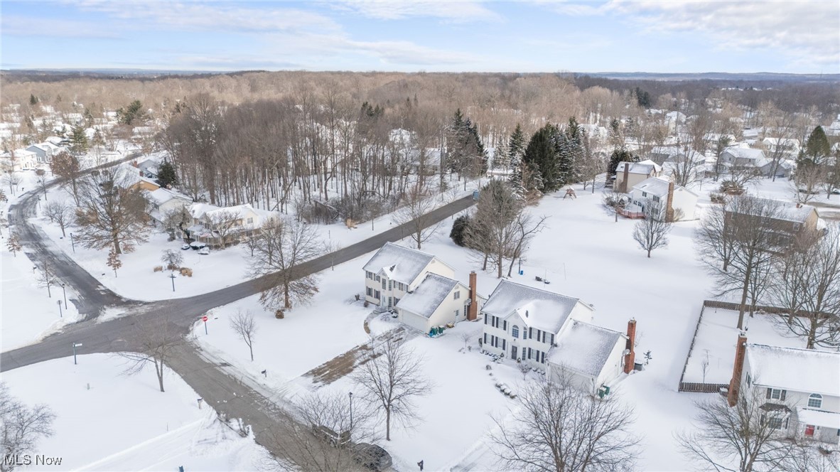 10343 Luman Lane, Twinsburg, Ohio image 47