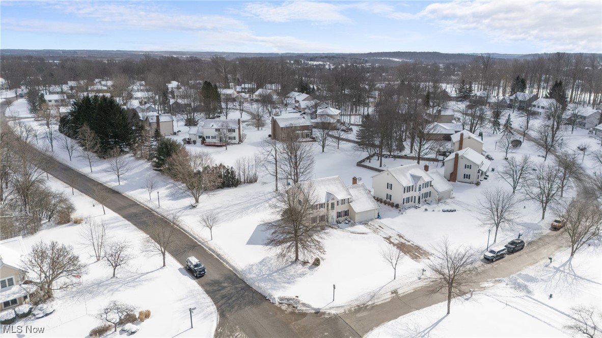 10343 Luman Lane, Twinsburg, Ohio image 49