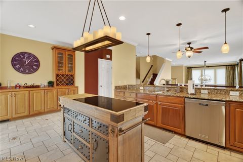 Tiny photo for 303 Arizona Avenue, Lorain, OH 44052 (MLS # 5201931)