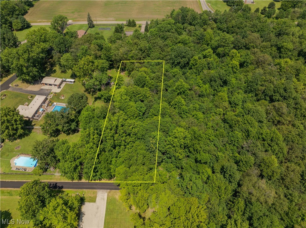 This scenic .71-acre parcel offers endless potential. Surrounded by natural beauty and open skies, this spacious wooded lot provides the ideal blend of privacy and accessibility. Buyers are to do their due diligence on land use and buildability. This is a great opportunity to own a piece of Lexington township!