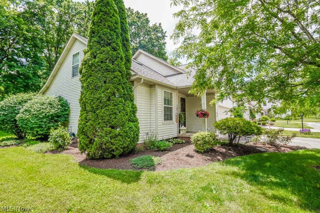 Rose Hill Condo - Residential