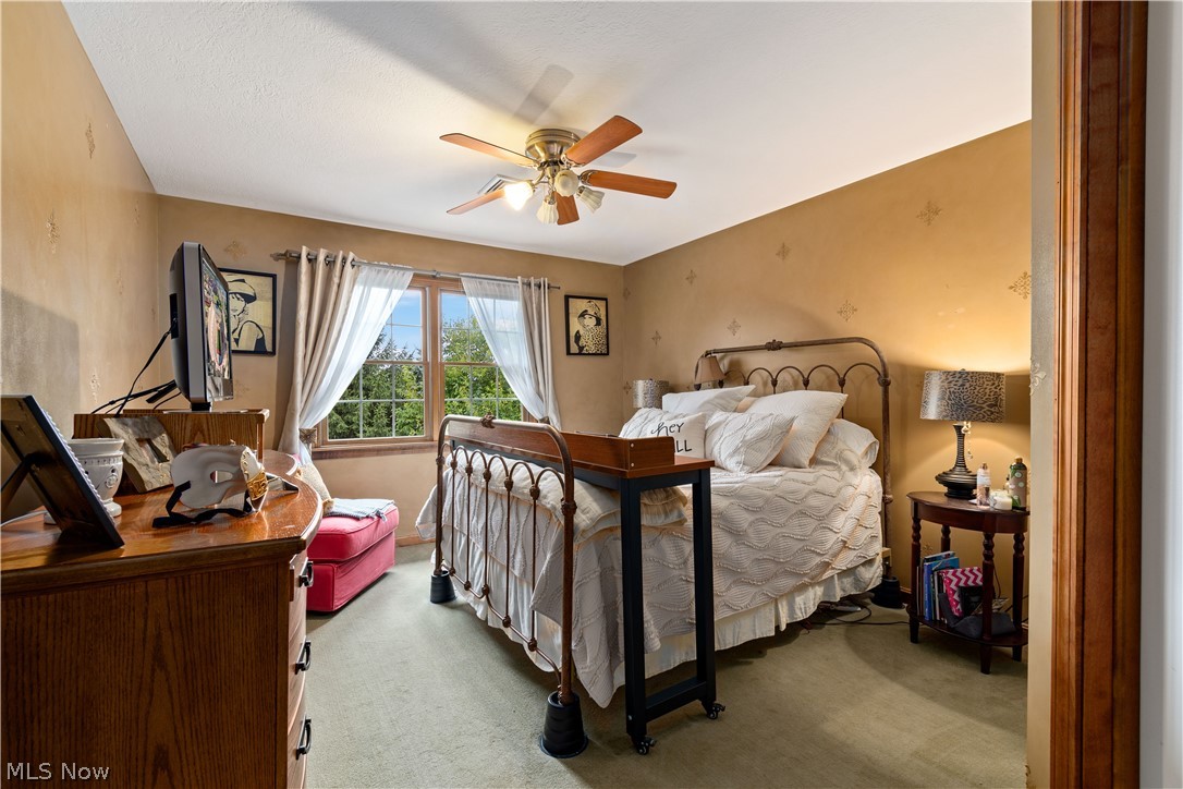 Carrington Ph 6 Allotment - Residential