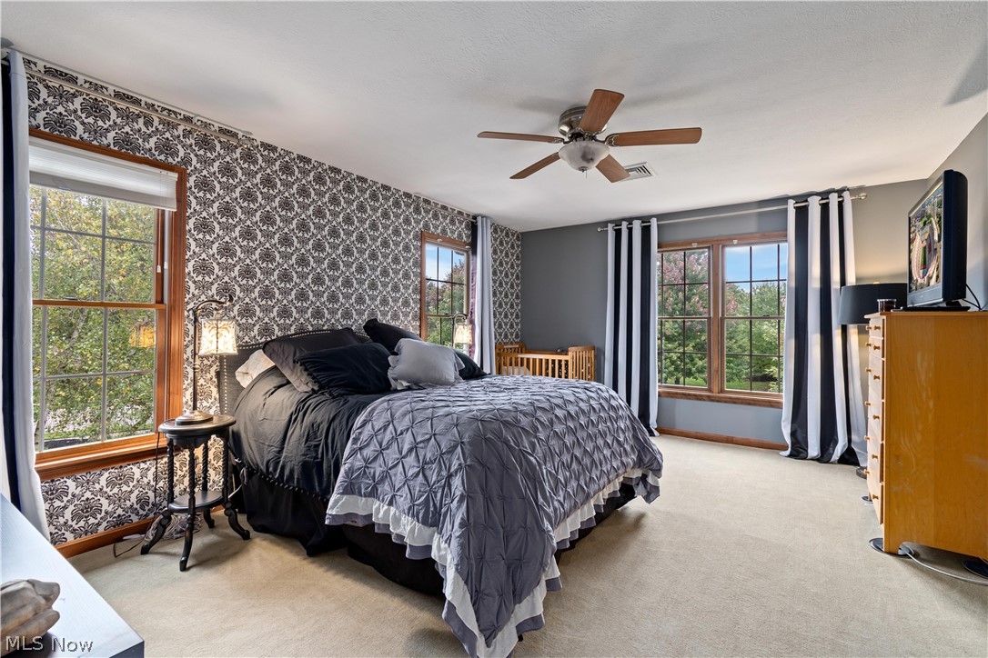 Carrington Ph 6 Allotment - Residential