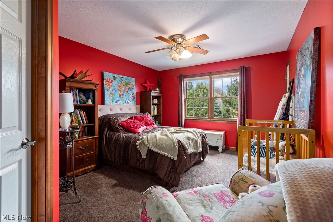 Carrington Ph 6 Allotment - Residential