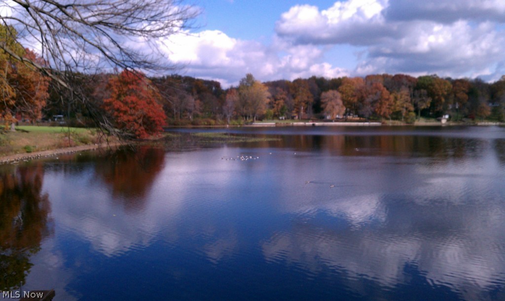Turkeyfoot Park - Residential