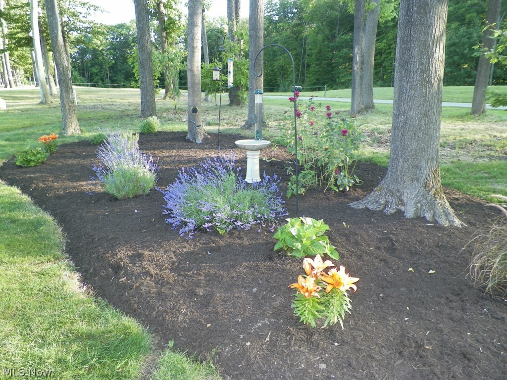 Shale Creek - Residential