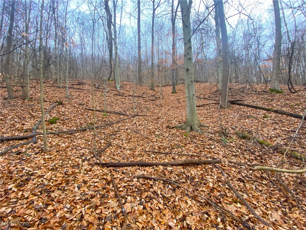 Standing Rock Road, Kimbolton, Ohio image 6