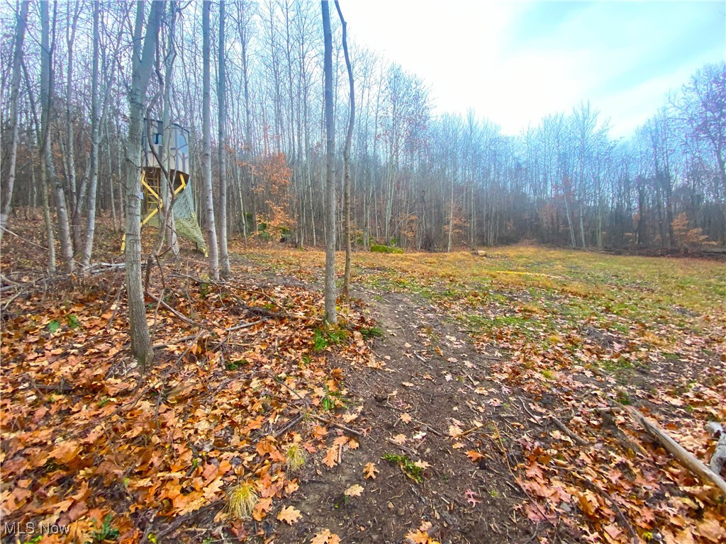 Standing Rock Road, Kimbolton, Ohio image 1