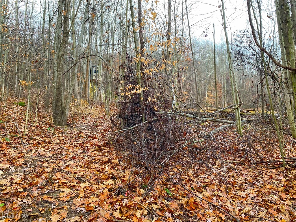 Standing Rock Road, Kimbolton, Ohio image 7