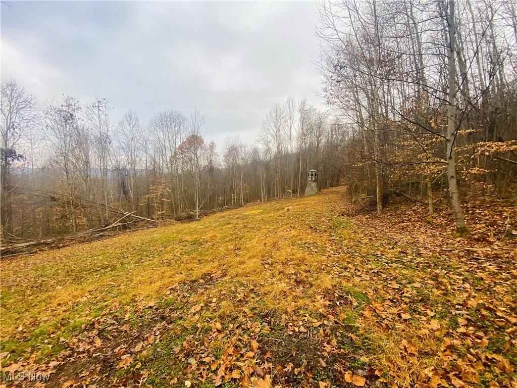 Standing Rock Road, Kimbolton, Ohio image 2