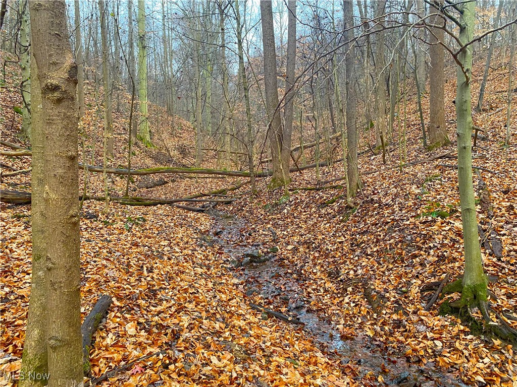 Standing Rock Road, Kimbolton, Ohio image 5