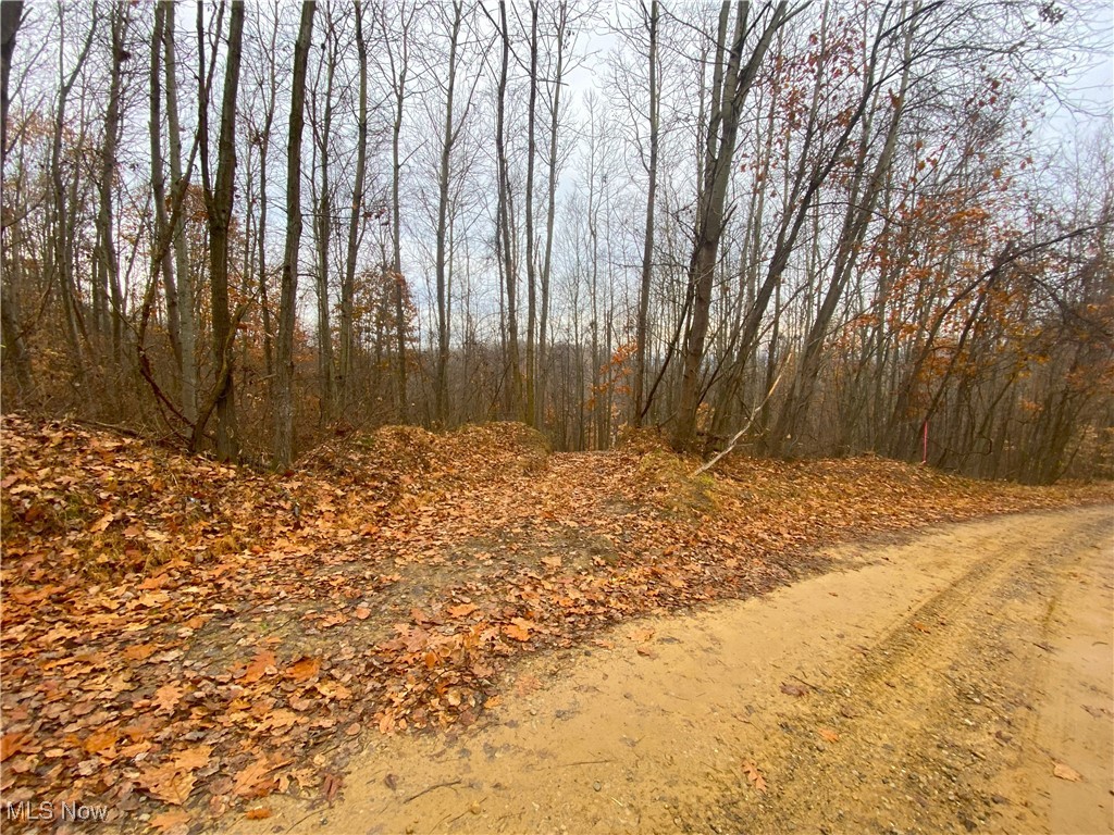 Standing Rock Road, Kimbolton, Ohio image 4