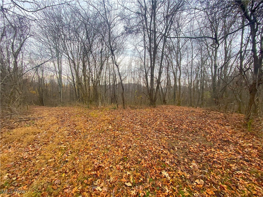 Standing Rock Road, Kimbolton, Ohio image 10