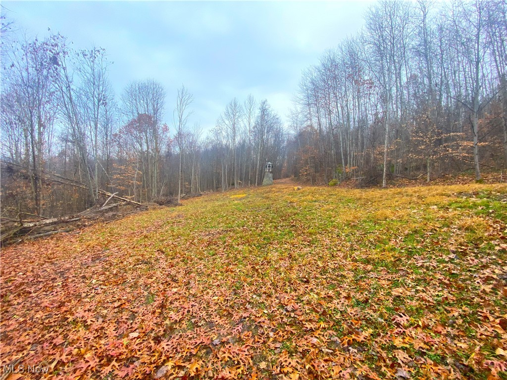 Standing Rock Road, Kimbolton, Ohio image 11