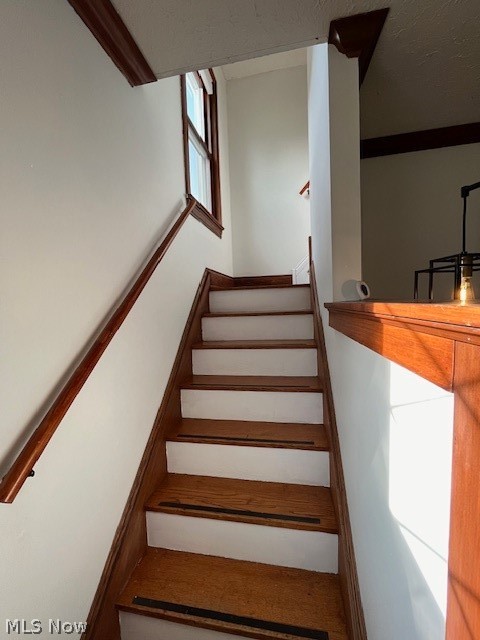 Rocky River Nursery - Residential