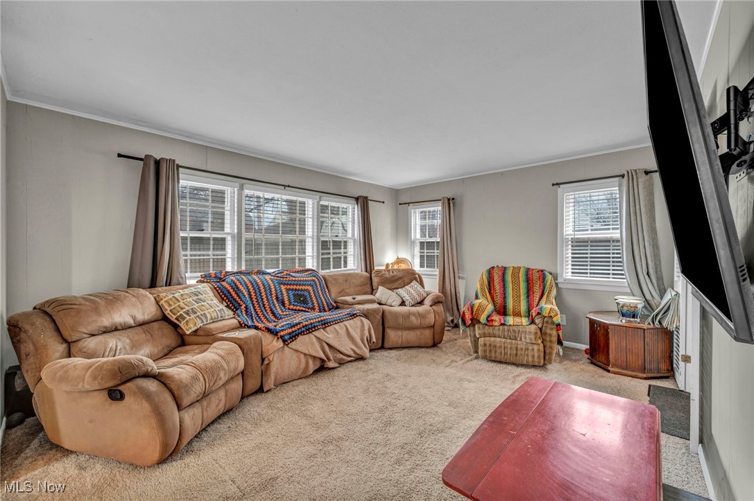 Boulevard Park - Residential