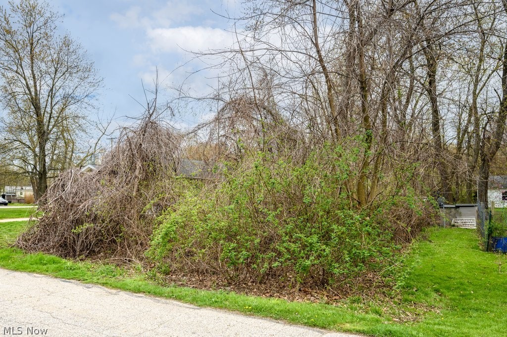 Midway Boulevard, Painesville, Ohio image 1