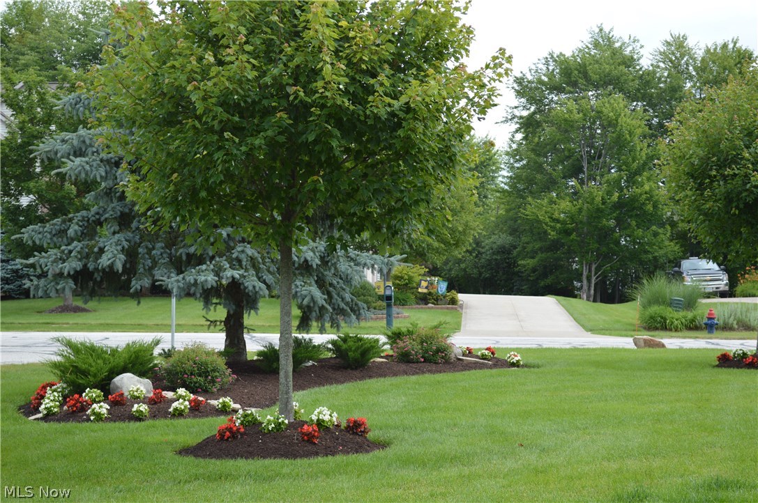 Macintosh Farms - Residential