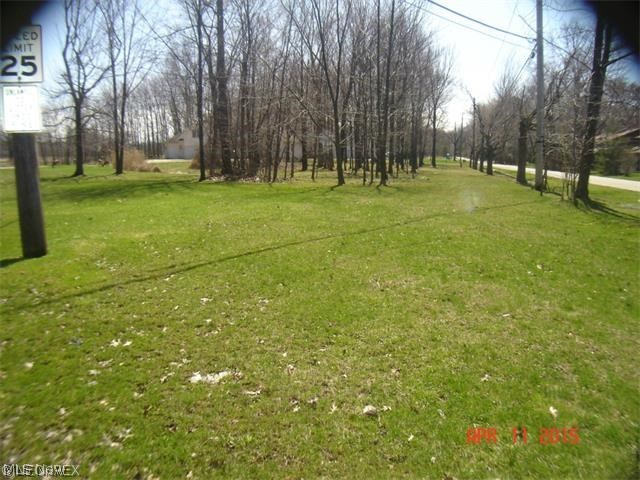 Lot is next to 24380 Georgetown Rd. Why not build your dream home on a .50 acre lot in Richmond Hts.? Lot is minutes from I-90 for quick access to downtown Cleveland, UH, CSU, Hall of Fame, Cleveland Clinic. Public water and sewer connection available.