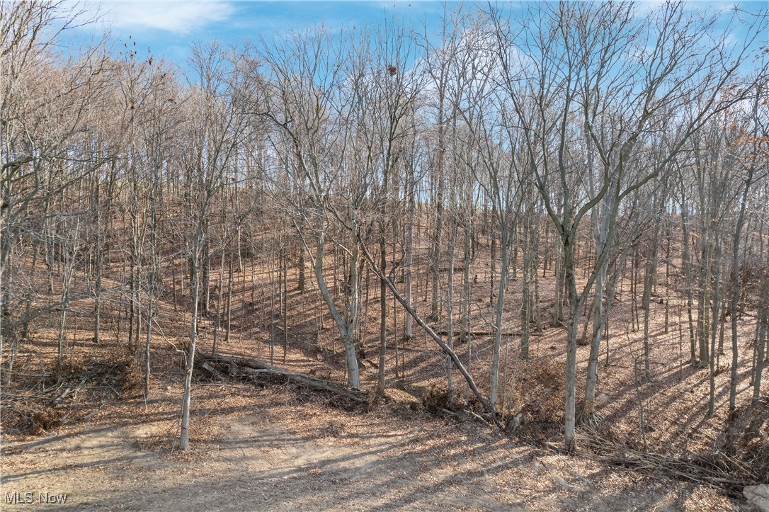 Cement Bridge Road, Dundee, Ohio image 7