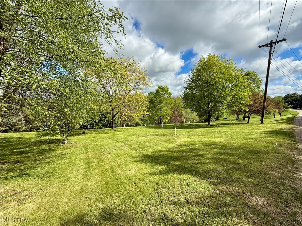 5103 Brocade Road, Amsterdam, Ohio image 43