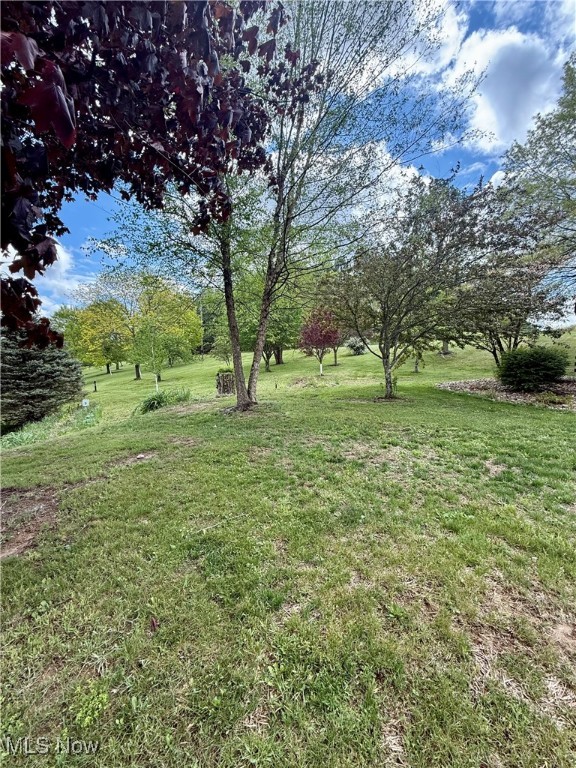 5103 Brocade Road, Amsterdam, Ohio image 44