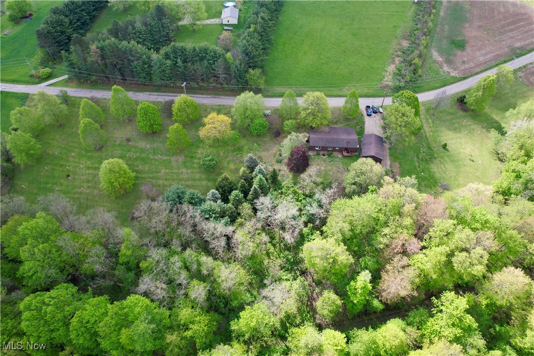5103 Brocade Road, Amsterdam, Ohio image 38