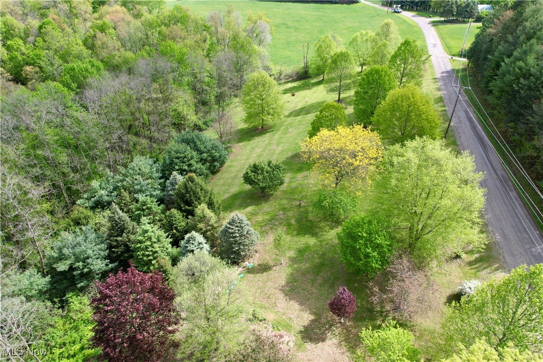 5103 Brocade Road, Amsterdam, Ohio image 39