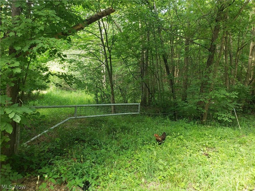 Wow, 24 acres with so many possibilities.  Perfect for the sportsman who is looking for a place of his own to hunt or someone who would love to build a home and be surrounded by nature! Mineral rights transfer to new owner.  No, the rooster is not part of the sale he was just very curious!