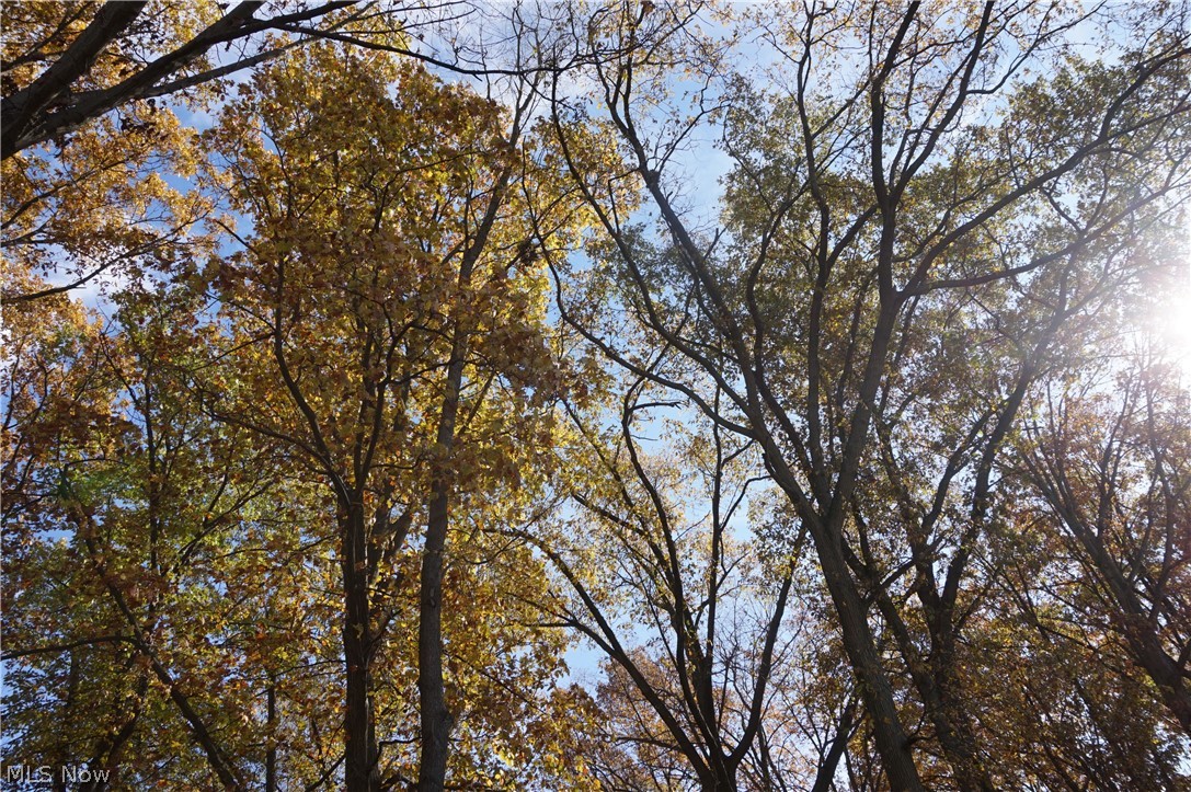 Castletown - Residential