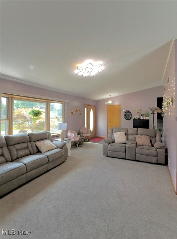 Canfield City - Residential