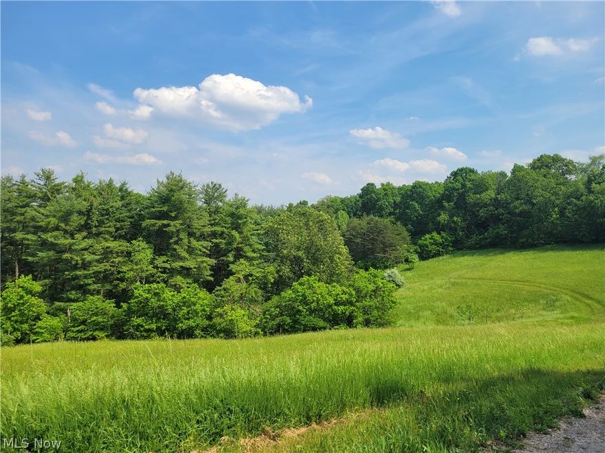 Wow 40 acres close to Belpre , Parkersburg  and Marietta. Half of the land is tillable or use for pasture , the other half is woods . Free gas on the property along with public water, electric . Mineral Rights  will convey. wonderful view ,  small pond. Great place to build your dream home 
There is a older home on the property ,but needs alot of TLC . No added value .Property is being Sold AS IS