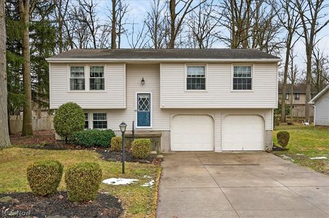 10265 Beaver Trail Aurora OH 44202