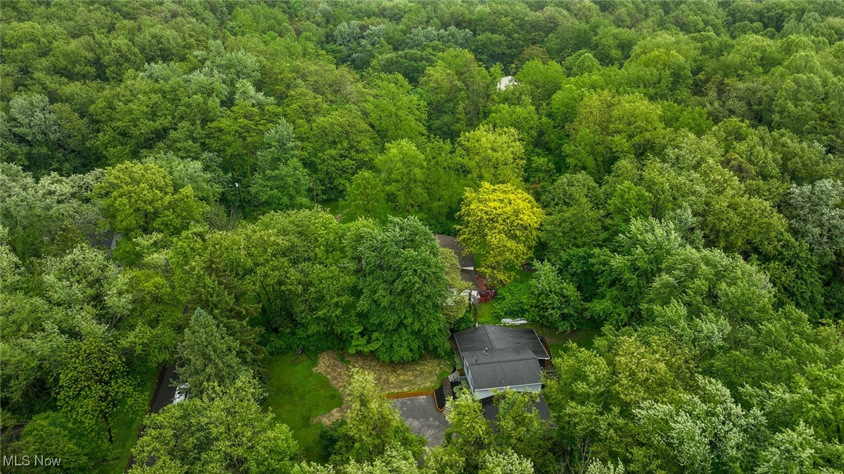 3576 Ellen Drive, Akron, Ohio image 11