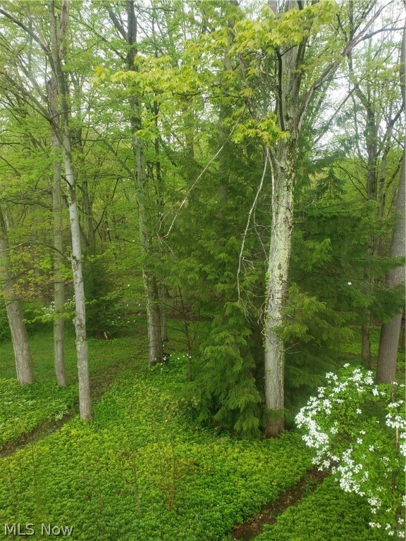 Park Heights Estate #10 - Residential Income