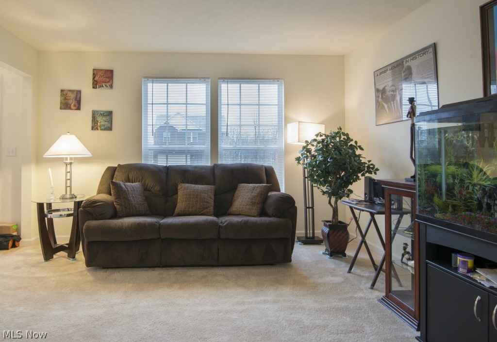 Meadows/Oakwood Ph 04 - Residential