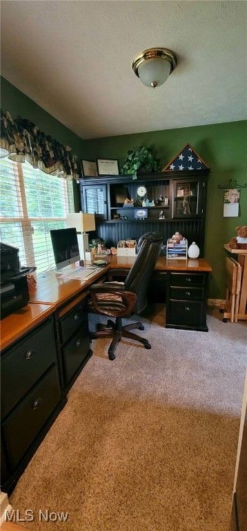 Fairfield Lane Condo - Residential