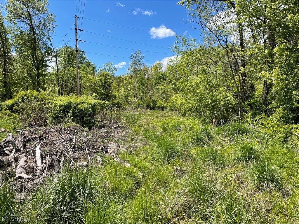 10.41 acres. Access off of Water Street. Fronts Wills Creek. Includes all oil, gas & mineral rights owned by seller transfer