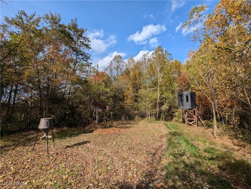 Talk about a rare find! This 40 acres is located in Southern Monroe County near the Ohio River on a dead-end road directly adjacent to over 1,000 acres of Wayne National Forest and truly turn-key, ready to hunt on day number one for a new owner. A quick tour of the well-developed trail system will lead you to multiple food plots, elevated blinds and treestands all with a history of attracting and producing trophy quality bucks. There is a strong population of does in the area and the owner has seen no evidence of any EHD. It is also important to note that this property is not located in one of the four counties affected by the mid-season bag limit reduction put into effect by ODNR recently. At the end of your hunt, you can relax in comfort in the included 2014 36 foot 5th wheel RV with three slide outs located on the property. The RV is sitting on a concrete pad and has electric service and water supply already established. There is also a 12x16 shed with a roll up garage door and electric that is the perfect place to store your ATV, tools or hunting items and it doubles as a great skinning shed after a successful hunt. Call today to learn more about this unique opportunity before it's gone...this one surely won't last long!