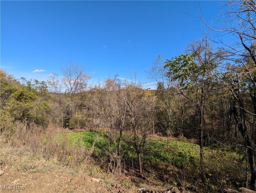 Talk about a rare find! This 40 acres is located in Southern Monroe County near the Ohio River on a dead-end road directly adjacent to over 1,000 acres of Wayne National Forest and truly turn-key, ready to hunt on day number one for a new owner. A quick tour of the well-developed trail system will lead you to multiple food plots, elevated blinds and treestands all with a history of attracting and producing trophy quality bucks. There is a strong population of does in the area and the owner has seen no evidence of any EHD. It is also important to note that this property is not located in one of the four counties affected by the mid-season bag limit reduction put into effect by ODNR recently. At the end of your hunt, you can relax in comfort in the included 2014 36 foot 5th wheel RV with three slide outs located on the property. The RV is sitting on a concrete pad and has electric service and water supply already established. There is also a 12x16 shed with a roll up garage door and electric that is the perfect place to store your ATV, tools or hunting items and it doubles as a great skinning shed after a successful hunt. Call today to learn more about this unique opportunity before it's gone...this one surely won't last long!